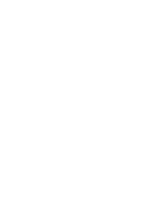 logo_diztrikt_wit